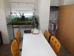 富田林 相続 遺言